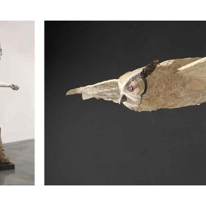 Coker University  Sheppard and Lewis